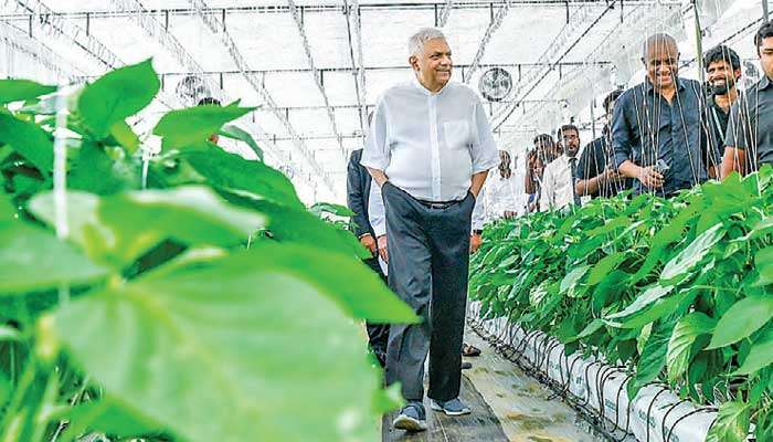 President reiterates commitment to modern agricultural practices, financial aid, training