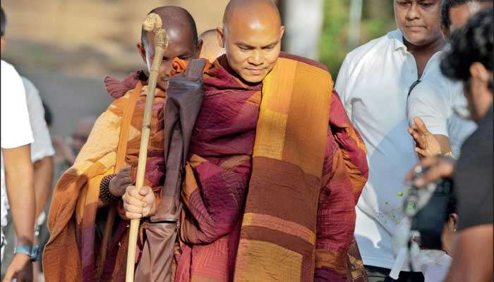 The peace walk and the dog saint