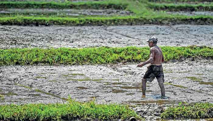Climate has changed: Has our agriculture?