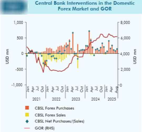 CBSL absorbs $ 1.24 b from domestic market YTD Aug.