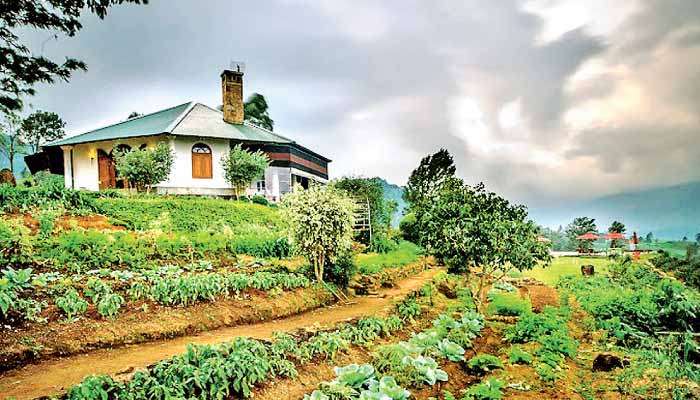 Madulkelle Tea and Eco Lodge to export home grown agro products