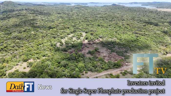 Investors invited for Single Super Phosphate production project