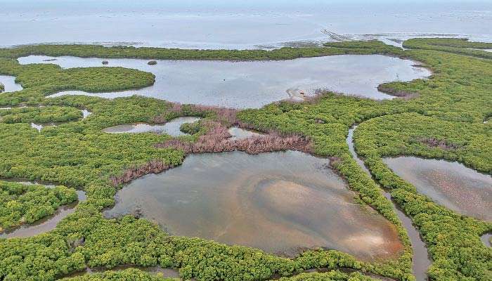 Govt. rescinds Gazette altering boundaries of Wedithalathive Nature Reserve following Supreme Court proceedings