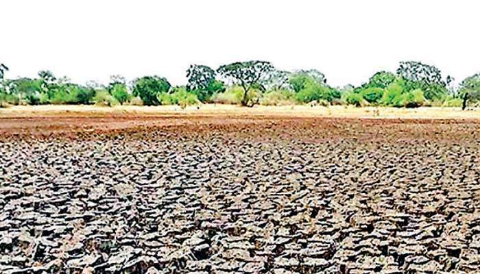 Maha 2026/2027: Why delaying cultivation until December may be safer choice