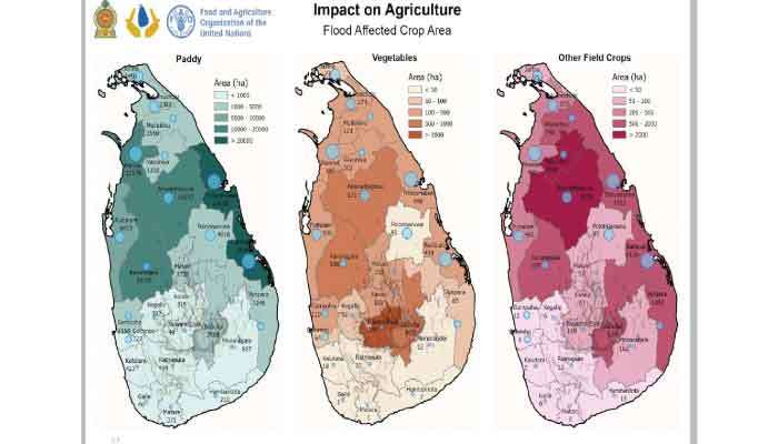 Flood impact on agriculture across Sri Lanka