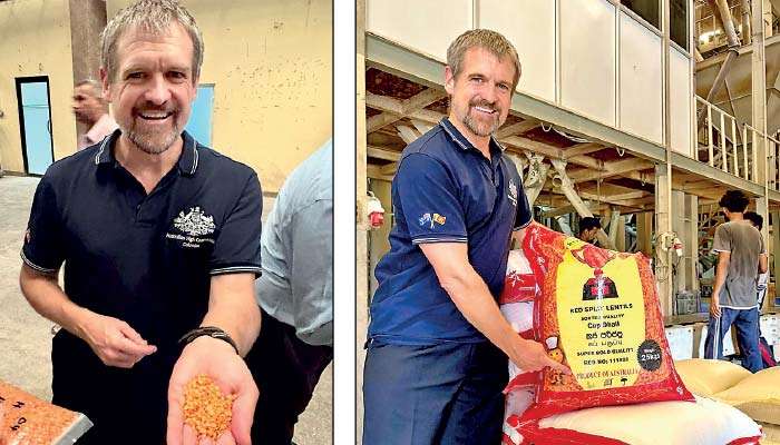 Australian lentils find a home in Sri Lanka