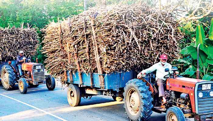 Beyond revival: How Public-Private Partnership turned abandoned sugar factory into regional lifeline