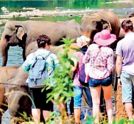 SL inches towards 1.5 m tourists amidst downturn