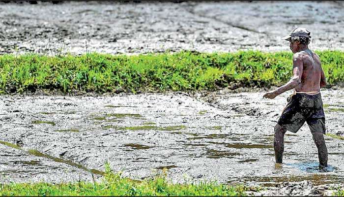 Food insecurity is the ‘hidden devil’ of global conflicts: The case of urea