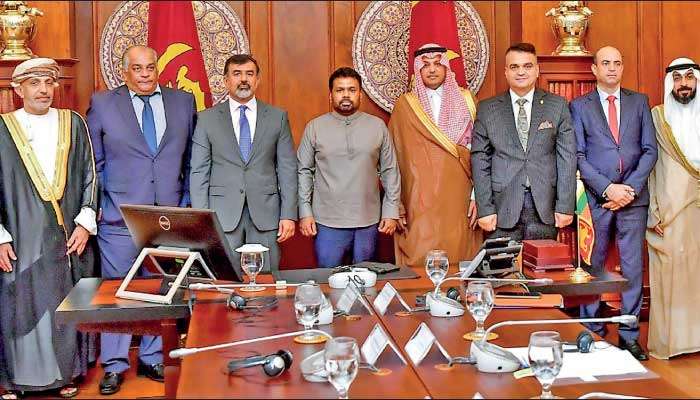 Arab Ambassadors meet President