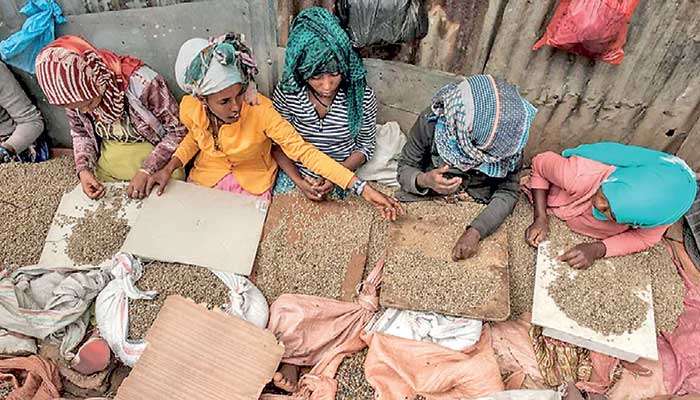 UN proclaims 1 October as International Coffee Day