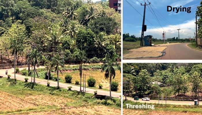 My ‘Big’ question?