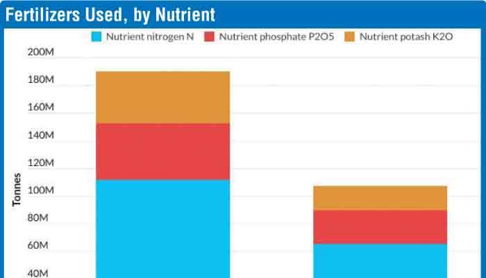Emerging Asia could face increased food-cost pressures: Fitch