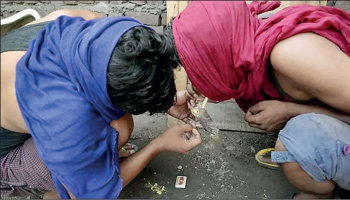 Confronting Sri Lankan drug mafia