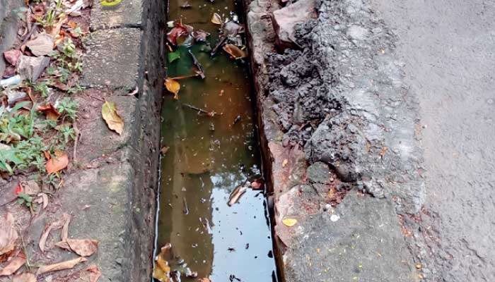 Road drains driving dengue: Study reveals 70% of risk