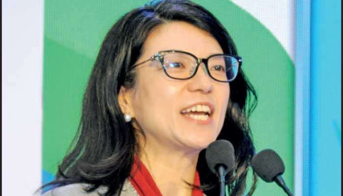 UNDP urges Govt. to unlock private finance, align institutions to meet climate goals