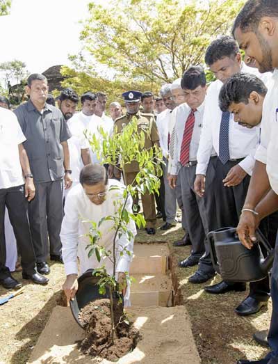 President-participates-in-World-Environment-Day