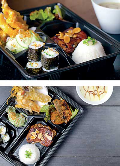 fusion bento box