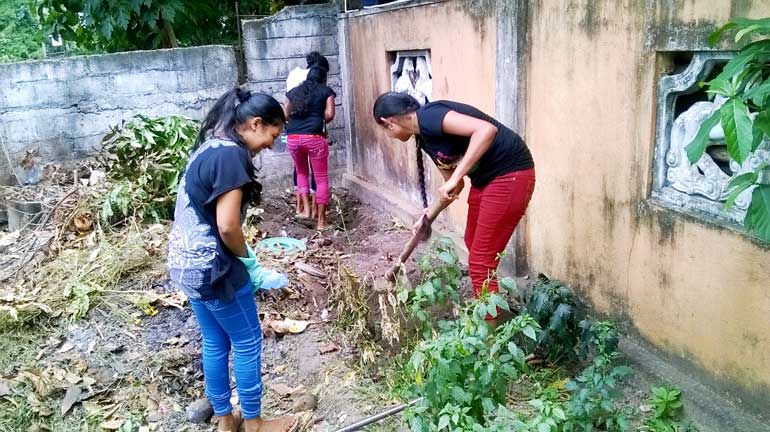 Sirio---cleaning-garden-2