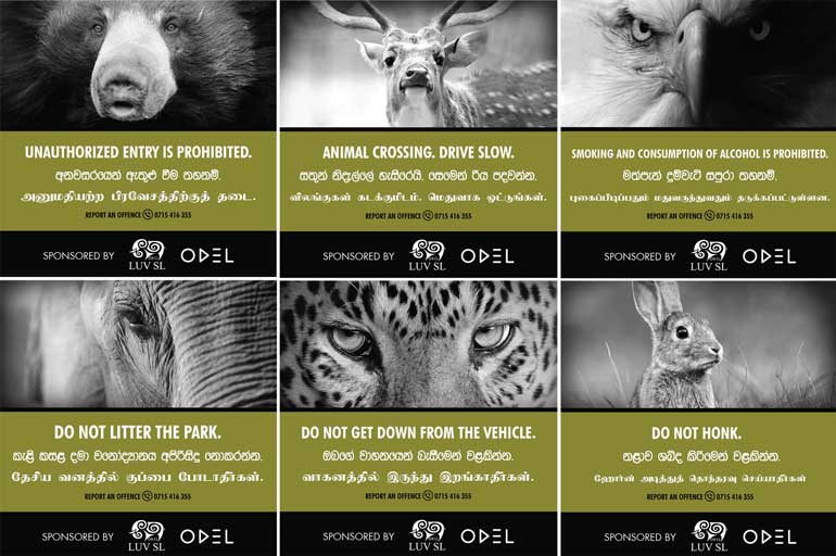 ODEL steps up to save animals of Yala with high profile conservation  awareness campaign | Daily FT