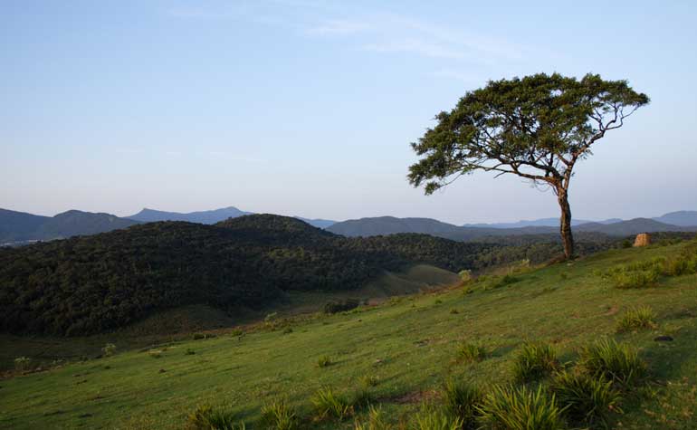 Horton-Plains---Sri-Lanka