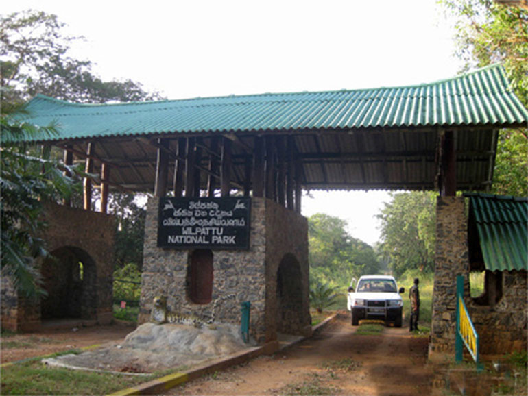 Wilpattu-National-Park