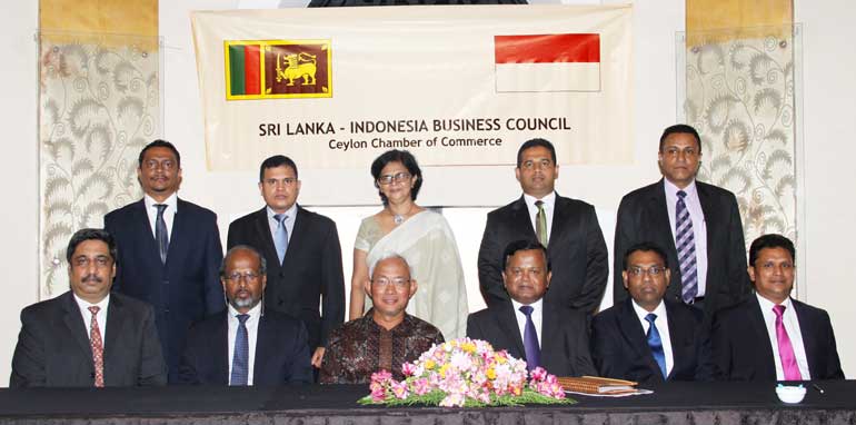 Sri-Lanka-Indonesia-Business-Council---New-committee