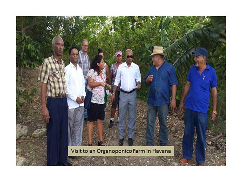 Visit-to-an-Organoponico-Farm-in-Havana