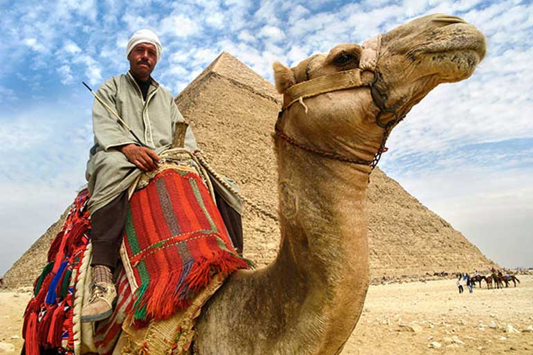 Camel Man In Front Of Giza Pyramid, Cairo, Egypt