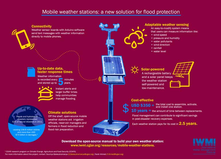 infographic-mws