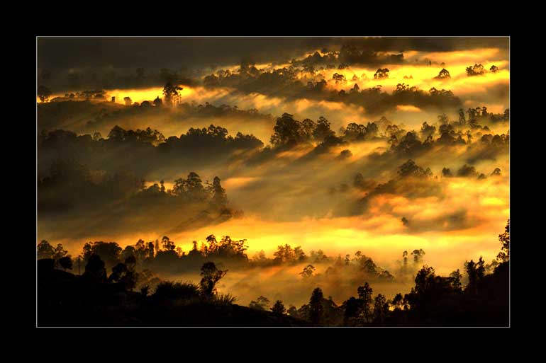 Dawn-at-Misty-Mountains---Kapila-P