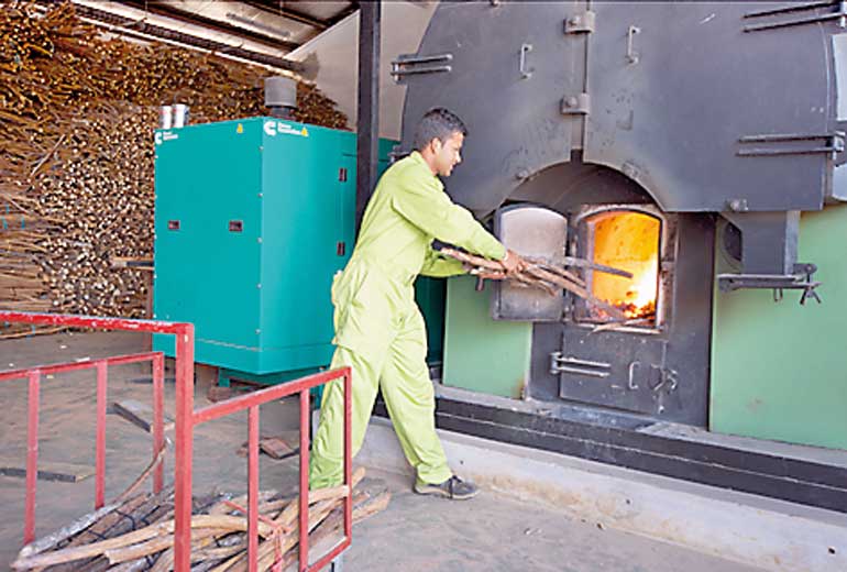 biomass-boiler-at-jetwing-yala