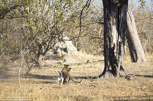 1411564375569_wps_89_9_21_MOREMI_GAME_RESERVE_