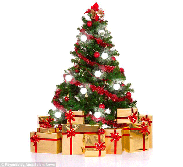 23B23E3F00000578-2858943-The_bulbs_could_save_having_to_wrestle_with_tangles_of_Christmas-51_1417610525967