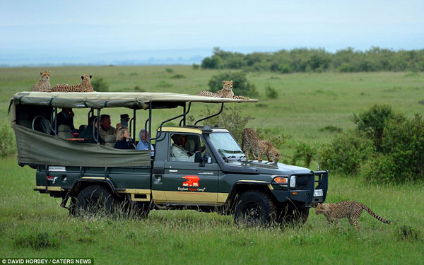 2A5D76C100000578-3154536-Photographer_David_62_from_Mombasa_Kenya_said_I_ve_been_living_i-a-59_1436440478076