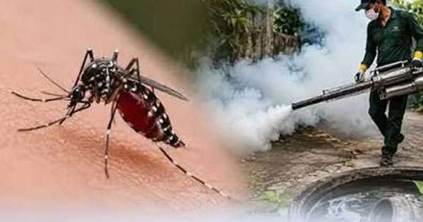 ඩෙංගු  ගැන ජනතා උනන්දුව මදි