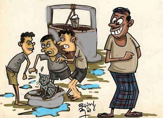 කළවැද්දා බළල් තඩියෙක් වෙලා