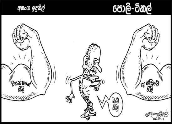 පොලි ටිකල් 14-09-2026