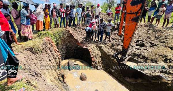 ගොවියා පසුපස පැන්නු අලියා ළිඳට වැටී මරුට