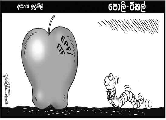 පොලි ටිකල් 27-07-2026