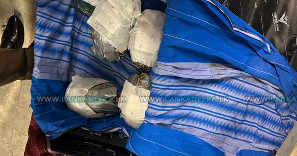 තාරකා ඉබ්බන්ට ගුවනින් යන්න බැරිවෙයි