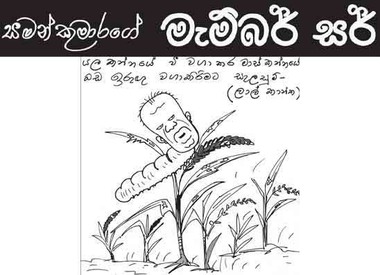 මැම්බර් සර් 28-07-2026