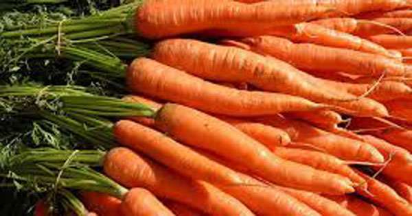 කැරට් වැඩි මිලට වික්කාට නඩු වැටෙයි