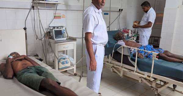 තේ දළු කඩමින් සිටි පිරිසකට බඹරු අනිති