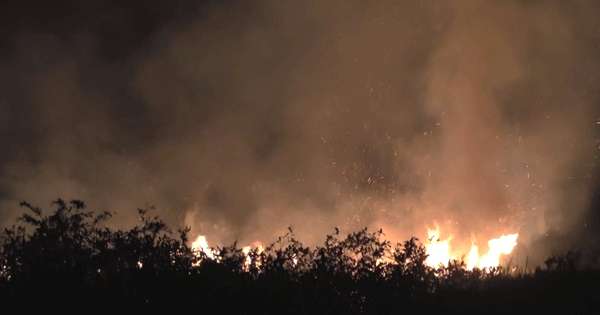 බණ්ඩාරගම වෙල් යායක ලොකු ගින්නක්