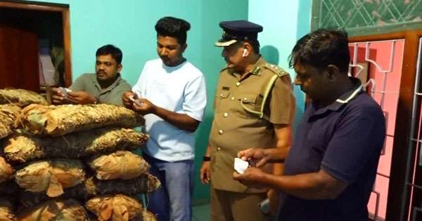 තෙන්ඩු කොළ සමඟ අයෙක් අල්ලයි