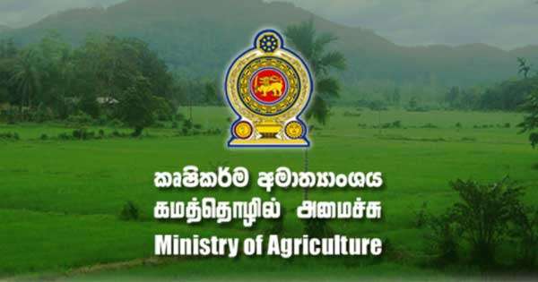කුඩා වැව් 296 ක ප්‍රතිසංස්කරණ වැඩ අරඹයි