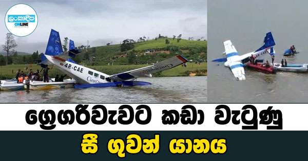 ග්‍රෙගරිවැවට සී ගුවන් යානයක් කඩා වැටේ