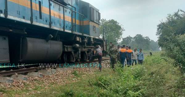 අලියෙක් ගැටි ත්‍රි‘මලේ-ගල්ඔය දුම්රිය ධාවනයට බාධා