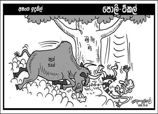 පොලි ටිකල් 29-10-2026